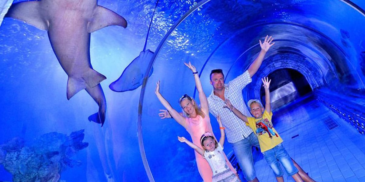 Hurghada Grand Aquarium – oceanarium, mini zoo i sala skamielin