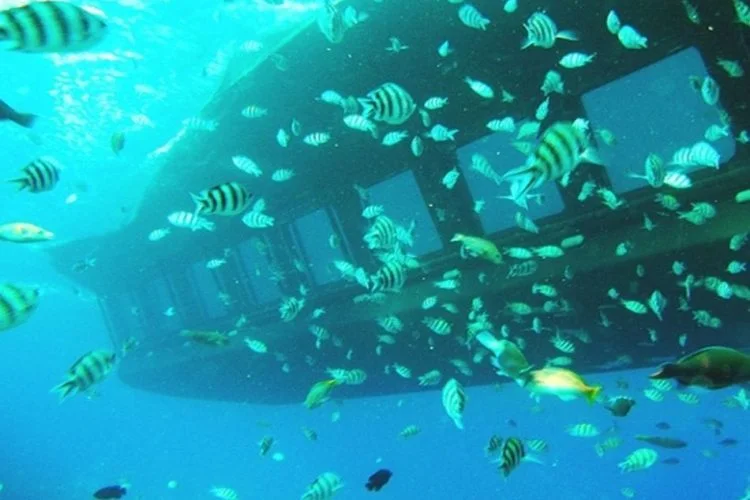 Royal Sea Scope Hurghada – łódź ze szklanym dnem i snorkeling na Morzu Czerwonym
